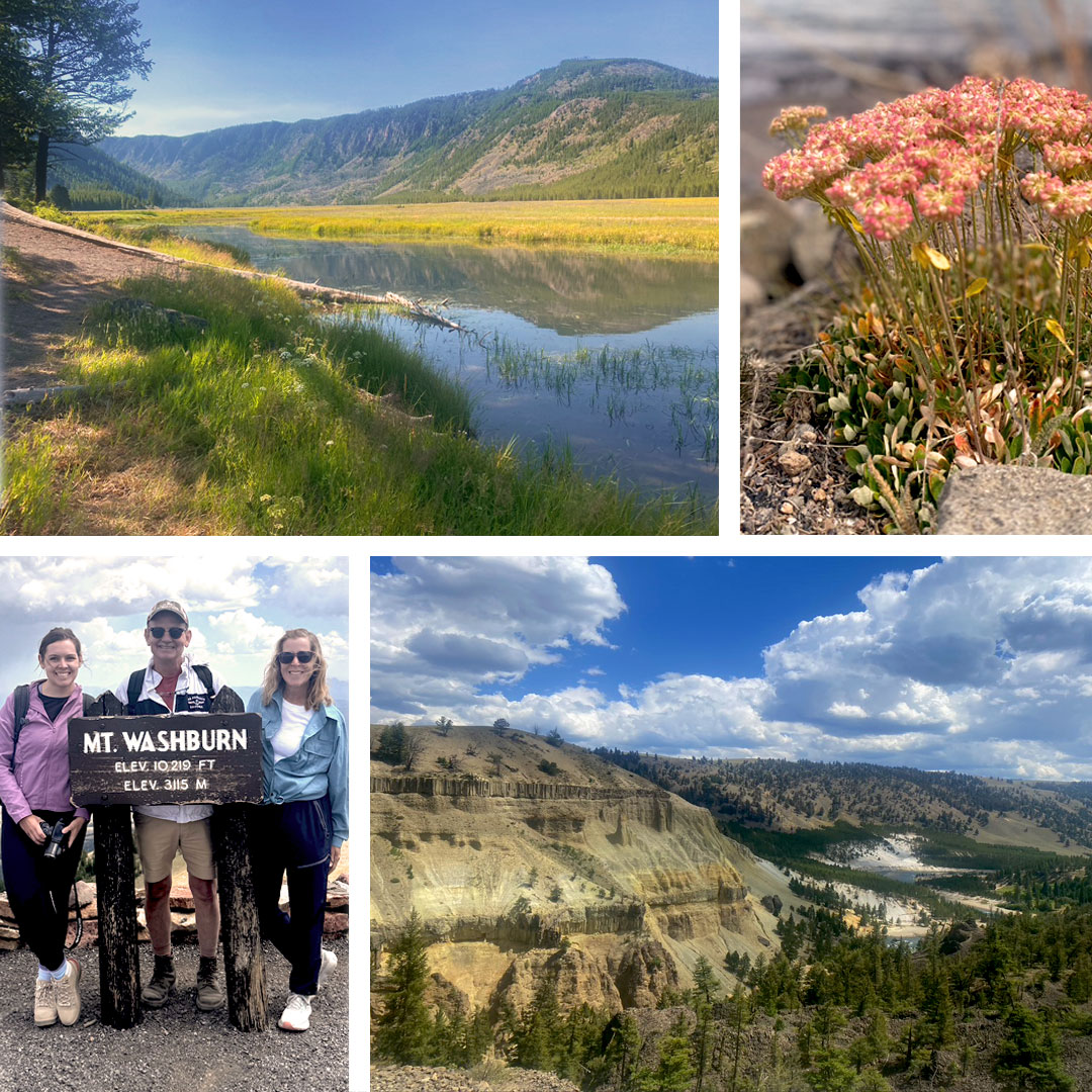Yellowstone 2025